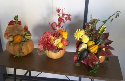 oct002