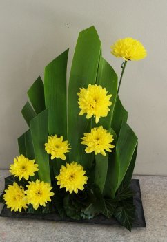 jun7